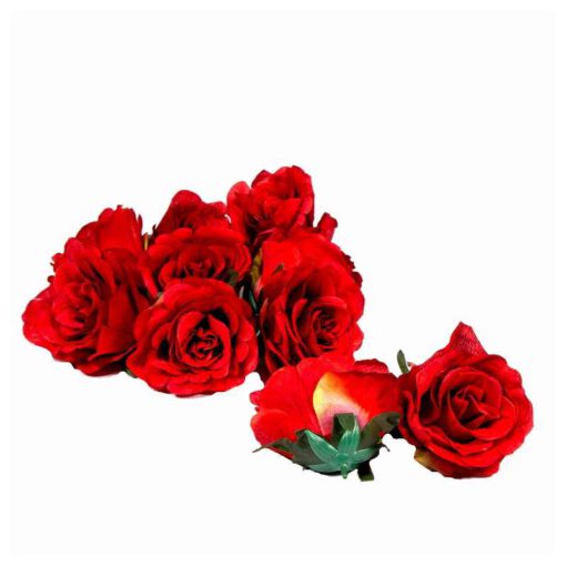 חבילת 12 ורדים פתוחים -אדום של חברת דקל