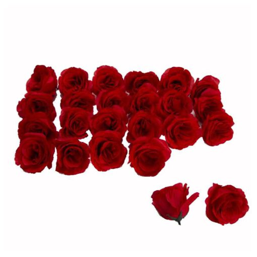 חבילת 24 ראשי ורדים פתוחים-אדום של חברת דקל