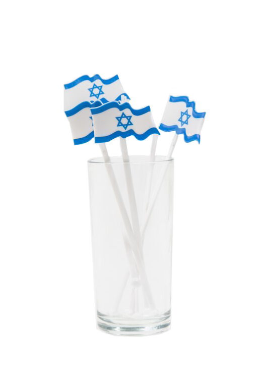 בחשנים פלסטיק דגל ישראל של חברת דקל