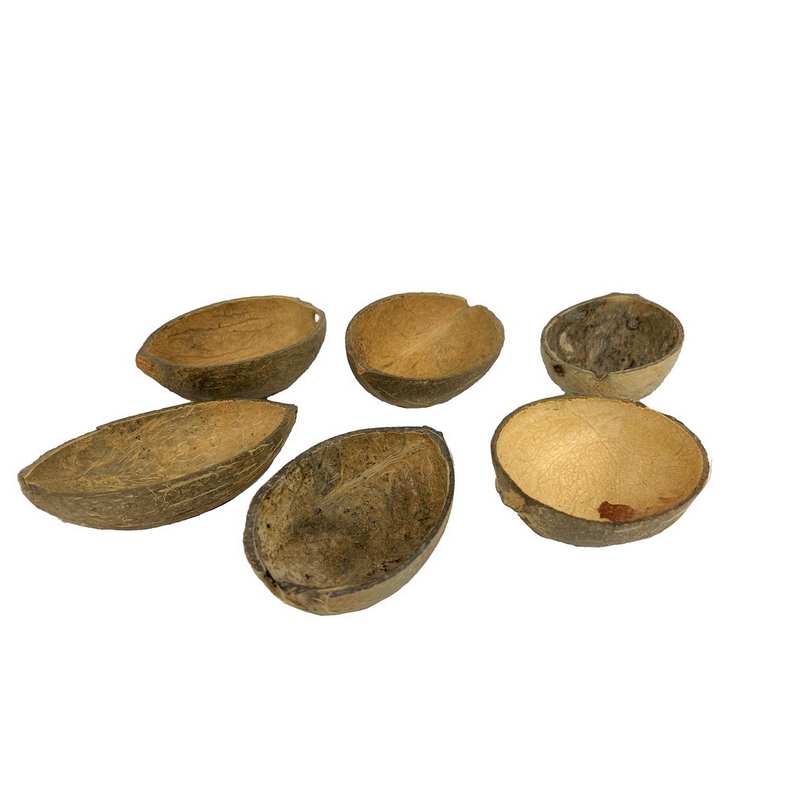 חבילת 6 קעריות מחצי אגוז קוקוס טבעי של חברת דקל