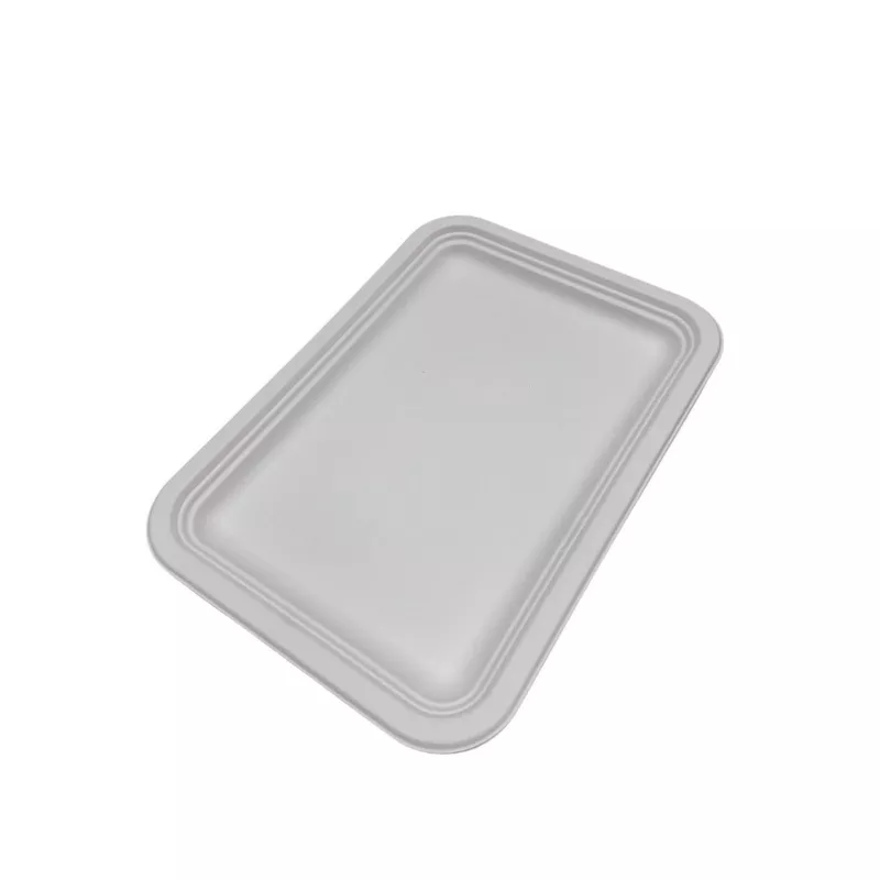 חבילת 5 מגש מתכלה קנה סוכר מלבני 25*35 ס"מ של דקל בע"מ