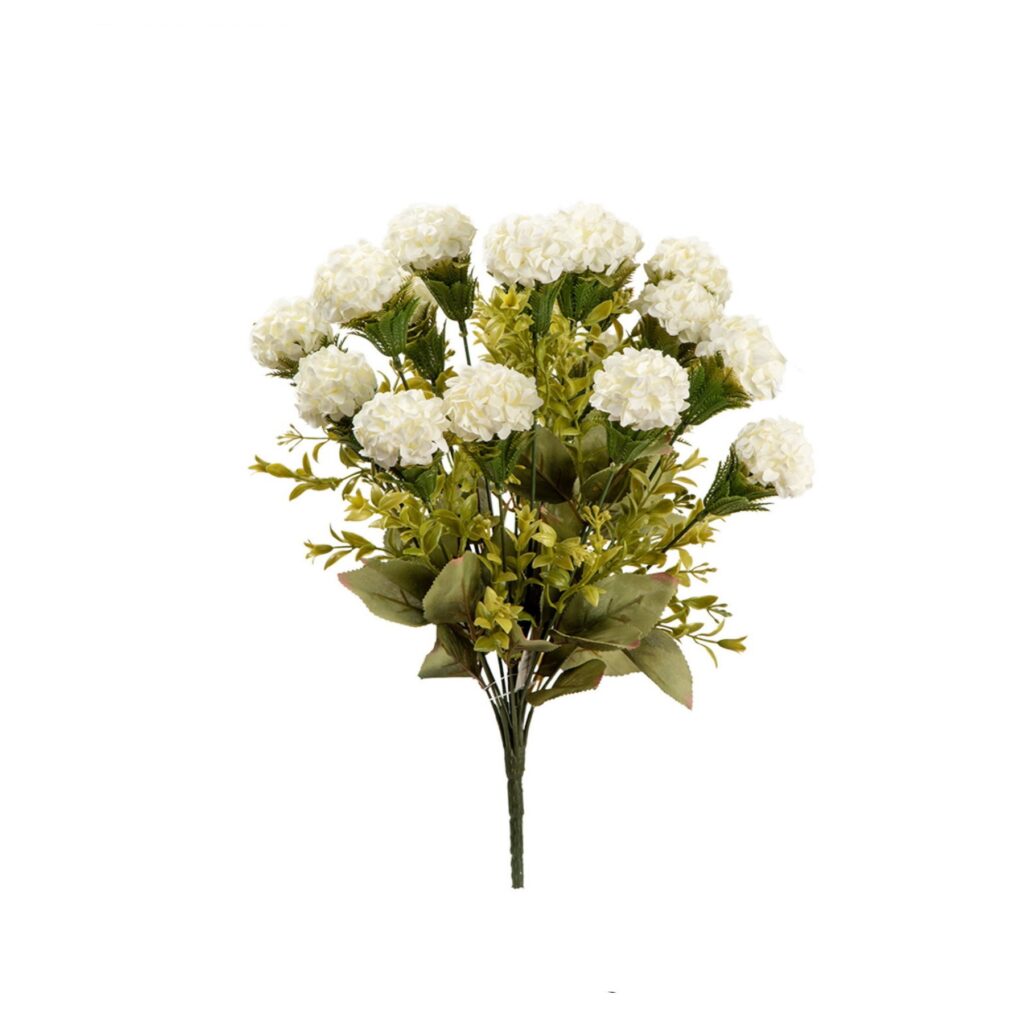 זר ציפורני חתול * 12 + תוספות לבן של דקל בע"מ