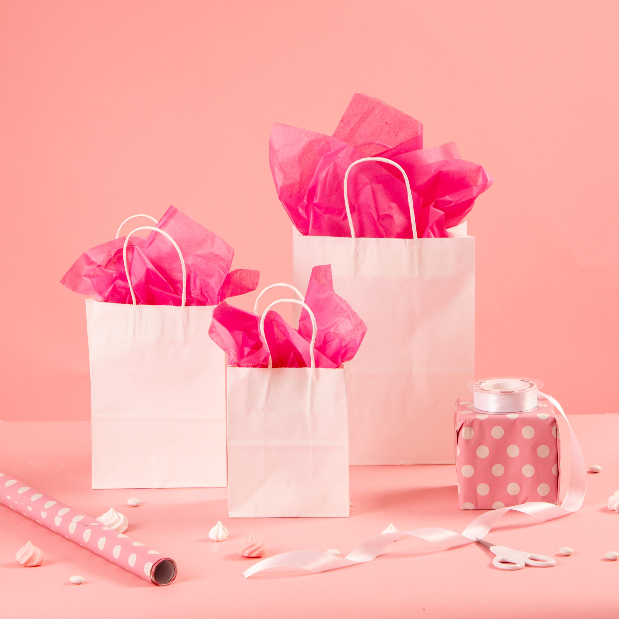 שקיות נייר דקל בעמ